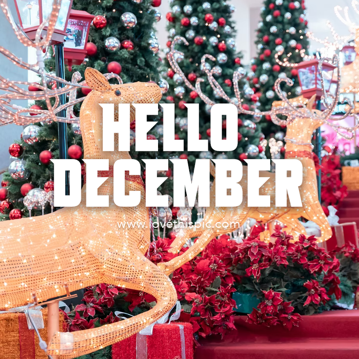 Reindeer & Christmas Tree Decor - Hello December Pictures, Photos, and ...