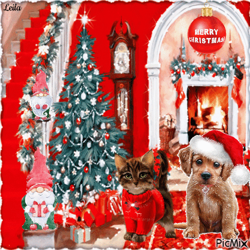 Xmas Cat & Dog Merry Christmas Pictures, Photos, and Images for