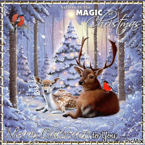 Weihnachtsbilder GIF Kostenlos: Bring the Magic of Christmas to Life!