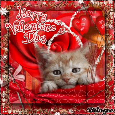 Love Kitten Happy Valentine's Day Gif Pictures, Photos, and Images for