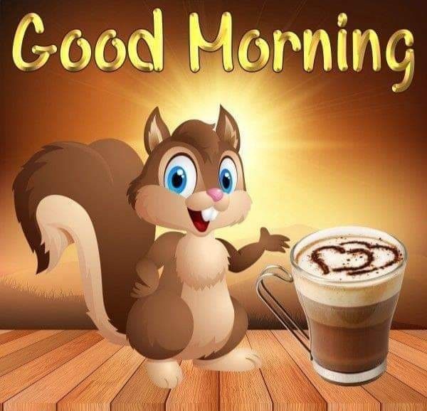 Good Morning Squirrel & Coffee Pictures, Photos, and Images for