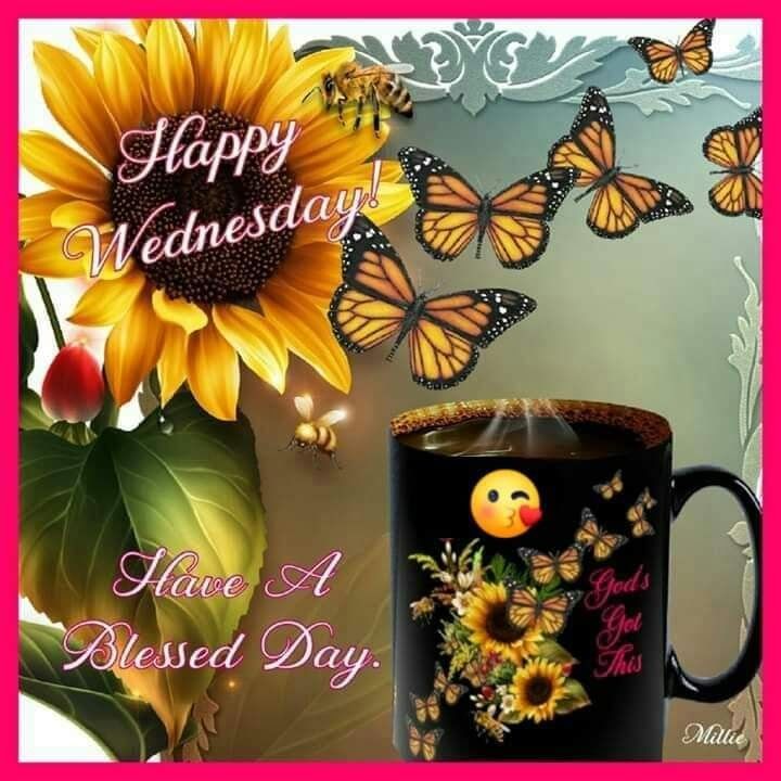 Butterfly Sunflower Happy Wednesday Image Pictures, Photos, and Images