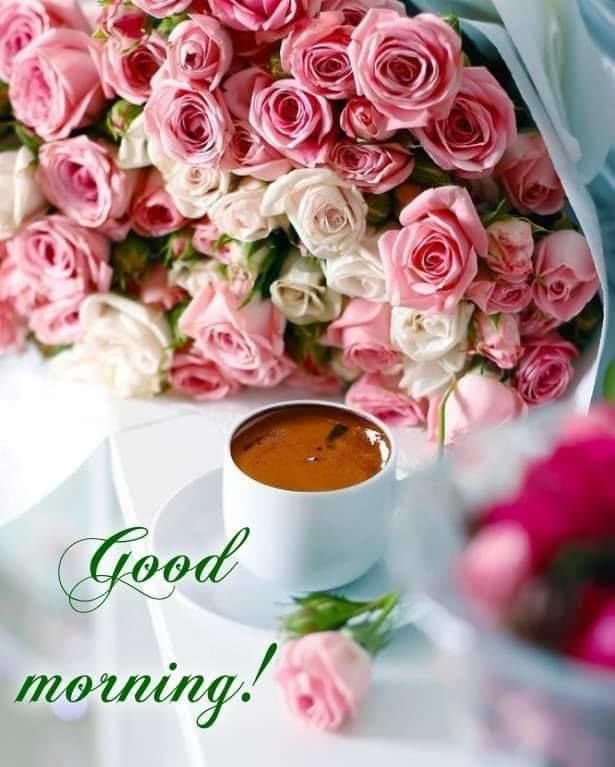 Roses And Coffee - Good Morning Pictures, Photos, and Images for Facebook, Tumblr, Pinterest, and Twitter