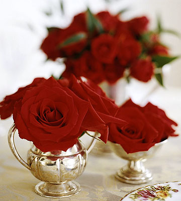 Cup of roses