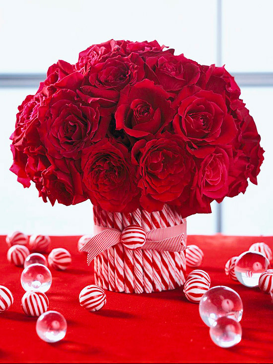 Cool roses Cool roses