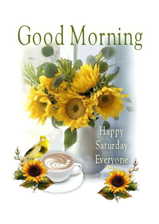 Vase Of Sunflowers Good Morning Happy Saturday Pictures, Photos, and