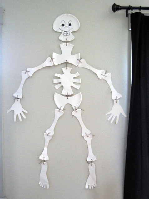 Paper plate skeleton Paper plate skeleton