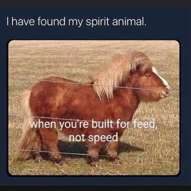 Spirit Animal Meme
