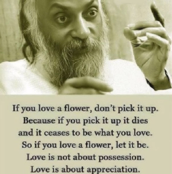 Appreciation