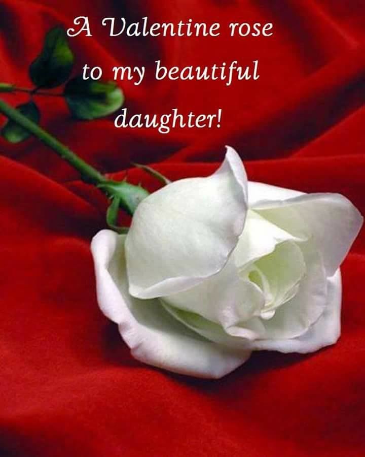 A Valentine Rose To My Beautiful Daughter Pictures, Photos, and Images