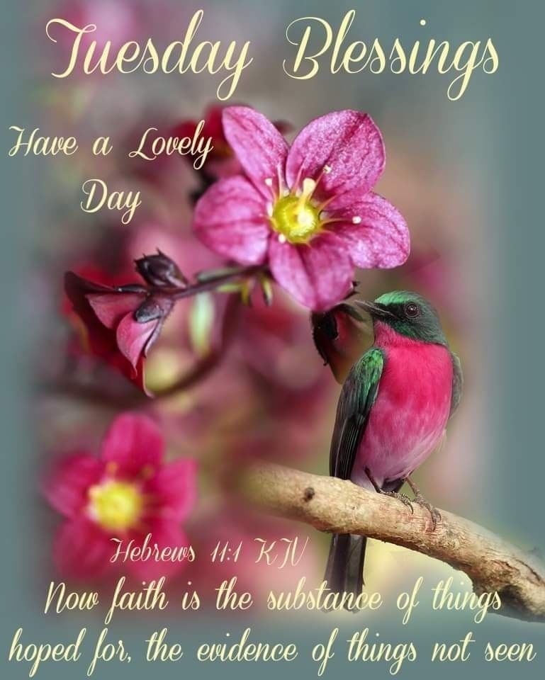 Hebrews 11:1 Tuesday Blessings Scripture Pictures, Photos, and Images