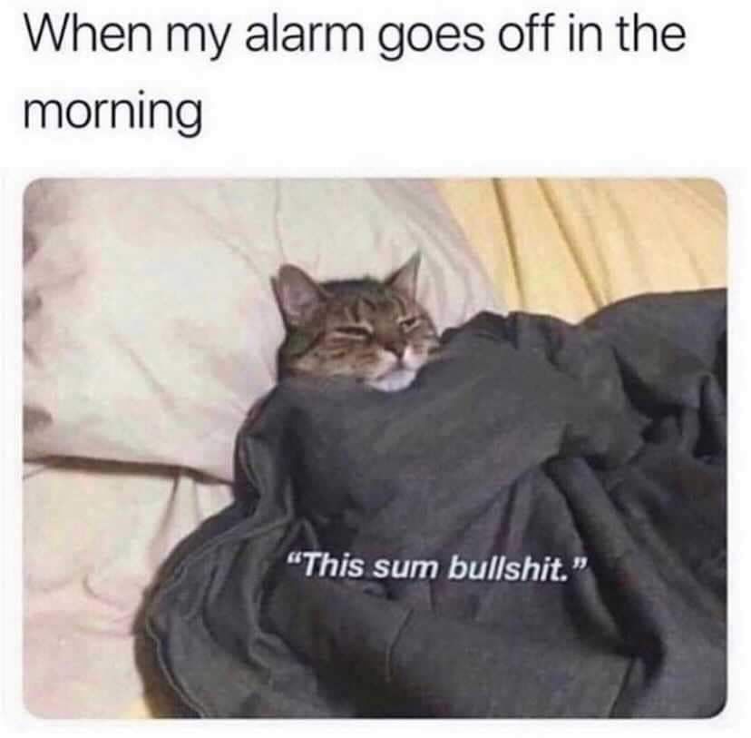 When My Alarm Goes Off In The Morning Pictures, Photos, and Images for