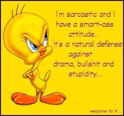 stupidity stupidity
