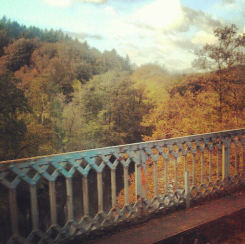 Autumn forest beyond the railway