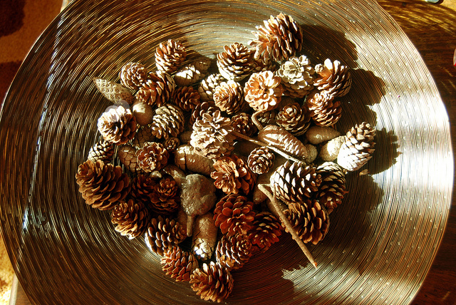 Pinecones