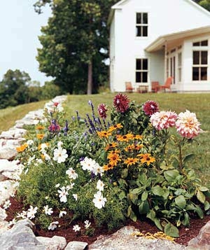 A cutting garden