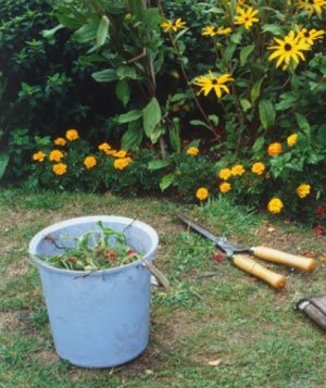 Flower pot garden Flower pot garden