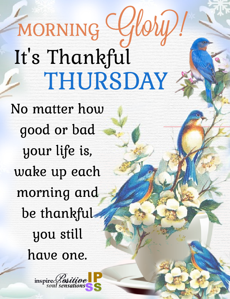 Morning Glory! It's Thankful Thursday Pictures, Photos, and Images for