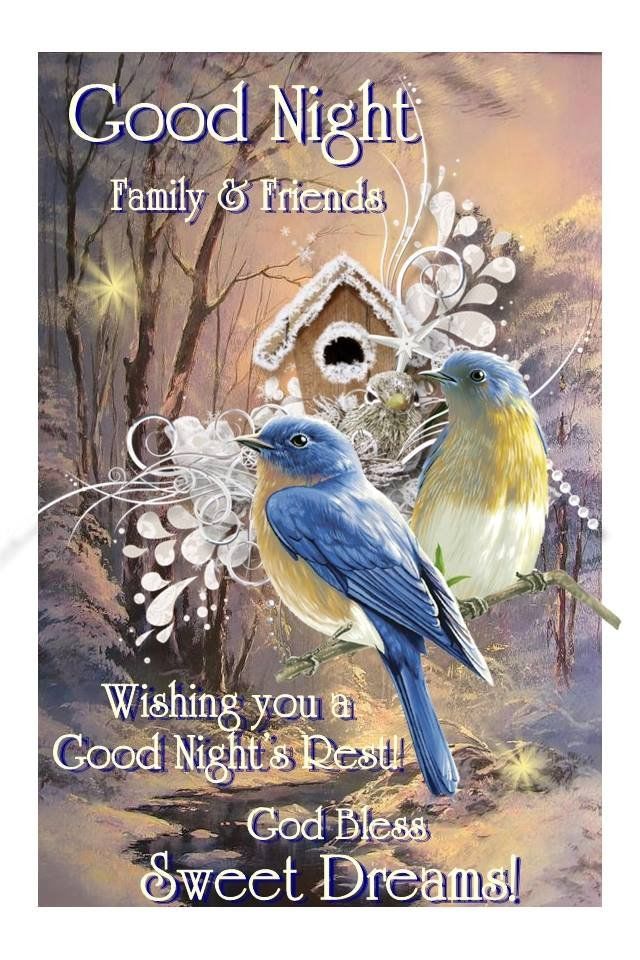 Birds With Birdhouse Good Night Family & Friends Pictures, Photos