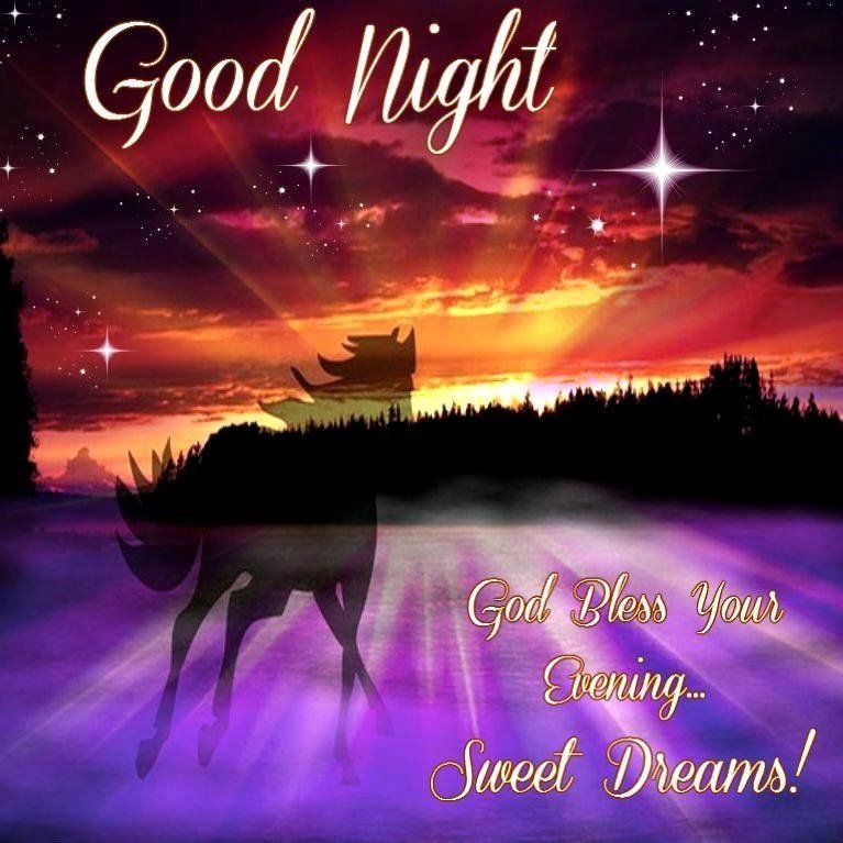 Silhouette Horse Good Night Pictures, Photos, and Images for Facebook