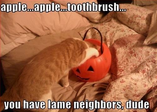 You have lame neighbors dude
