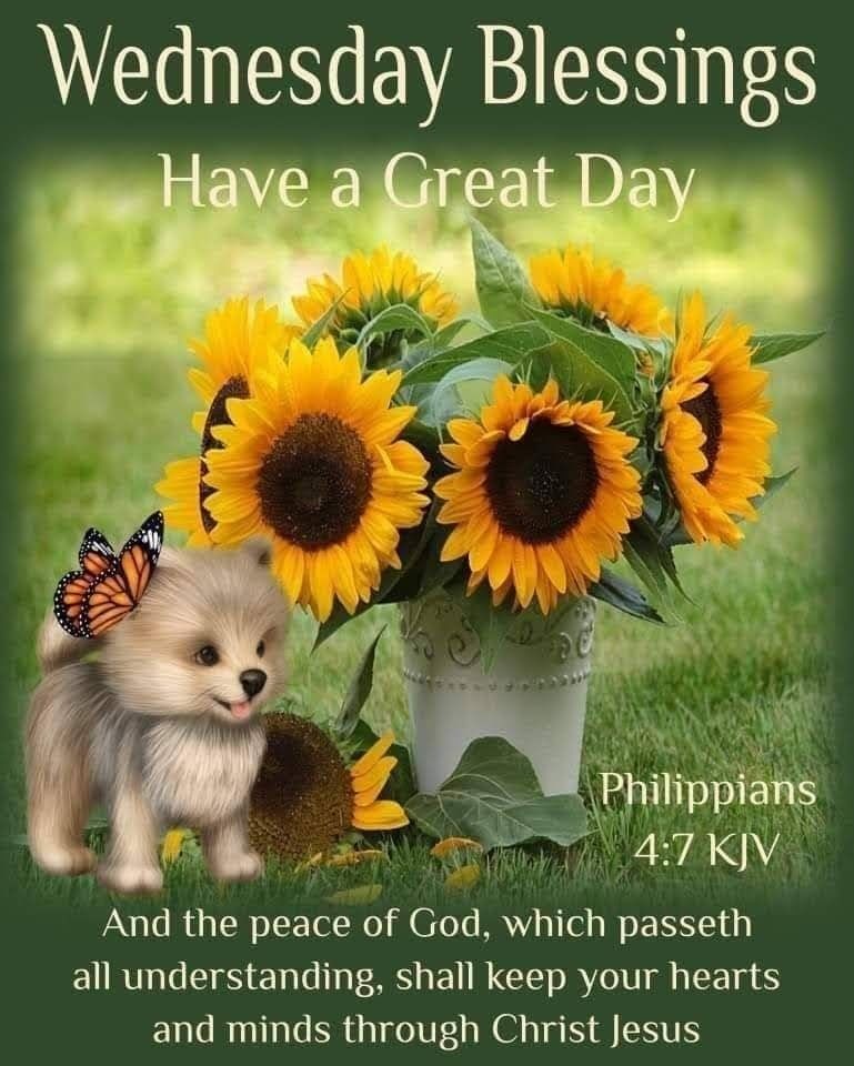 Sunflower Pail & Puppy Wednesday Blessings Pictures, Photos, and Images for Facebook, Tumblr