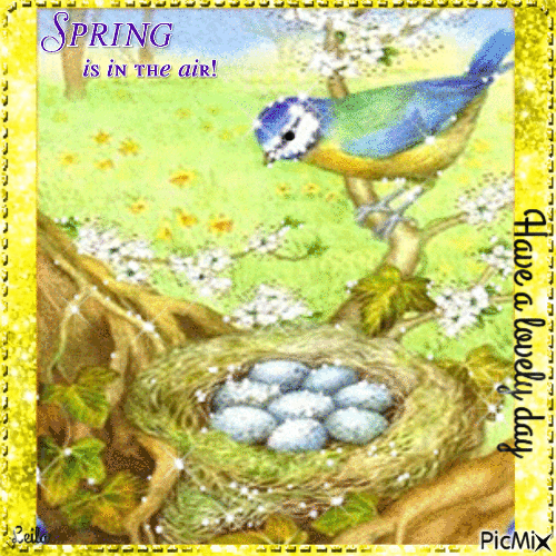 Bird With Eggs In Nest Spring Is In The Air Pictures, Photos, and