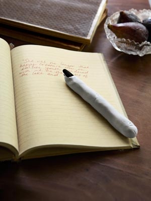Finger pen Finger pen