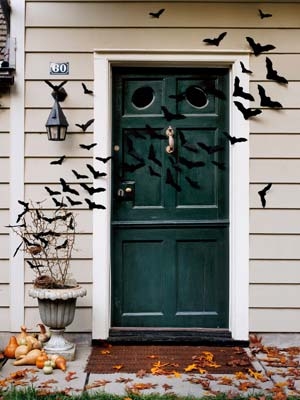 Bat filled front door Bat filled front door