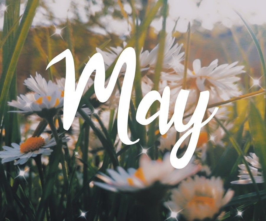 Sparkling Daisy May Pictures, Photos, and Images for Facebook, Tumblr