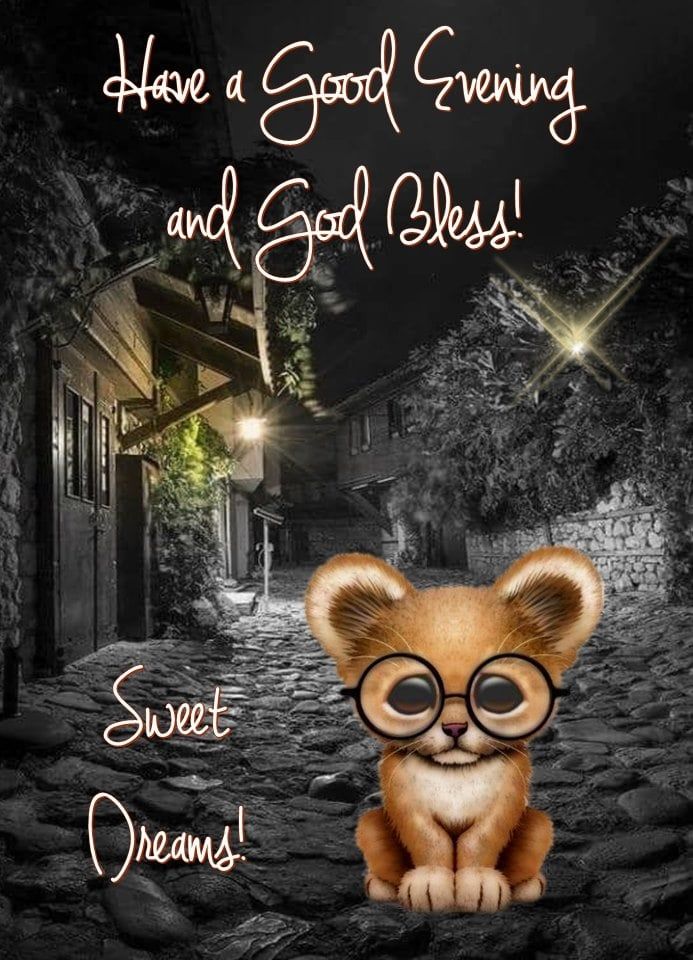Have A Good Evening And God Bless Sweet Dreams Pictures Photos And Images For Facebook Tumblr Pinterest And Twitter