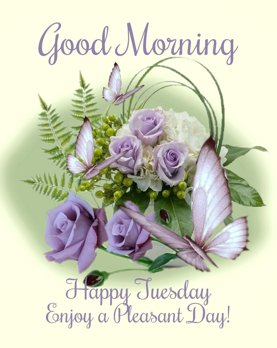 Happy Tuesday, Good Morning. Enjoy A Pleasant Day! Pictures, Photos