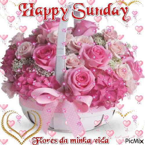 Light Pink Roses Happy Sunday Gif Pictures, Photos, and Images for