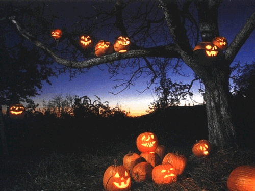 Lit pumpkins