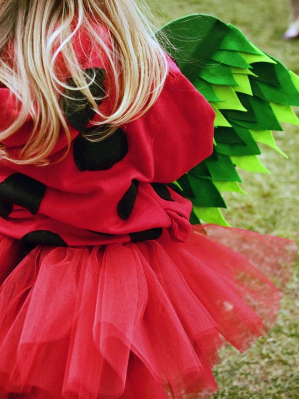 Ladybug costume