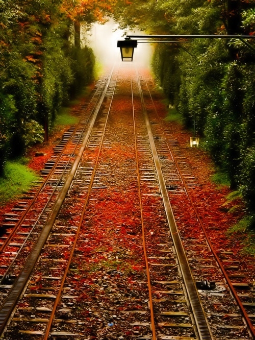 Autumn lamp