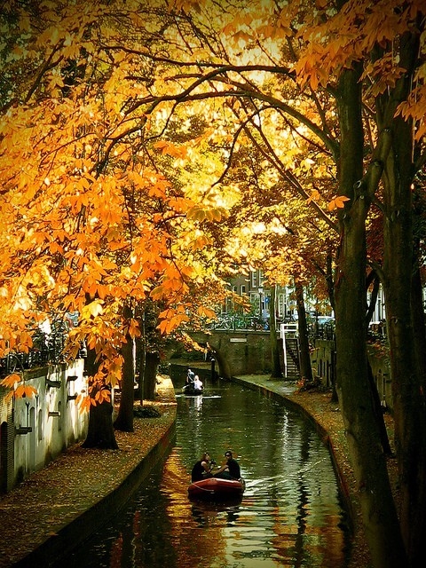 A lovely autumn ride A lovely autumn ride