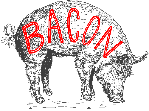 Bacon Bacon