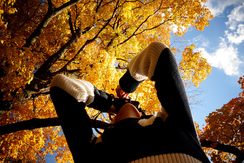 Capturing autumn Capturing autumn