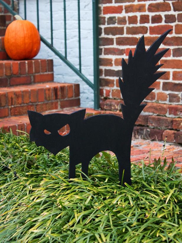 Scaredy cat cut out