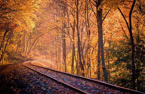 The winding road