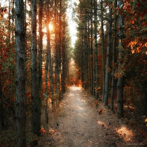 Autumn sunset Autumn sunset