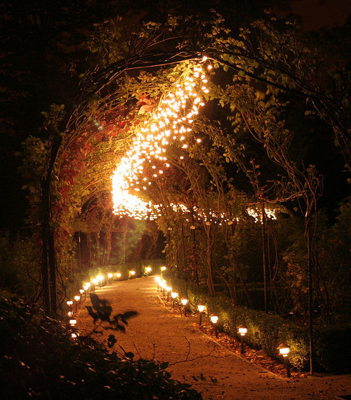 Strings of lights Strings of lights