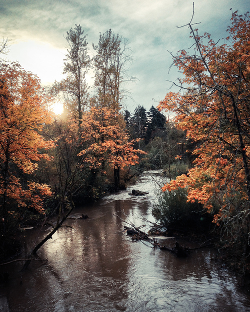 Cool Autumn view