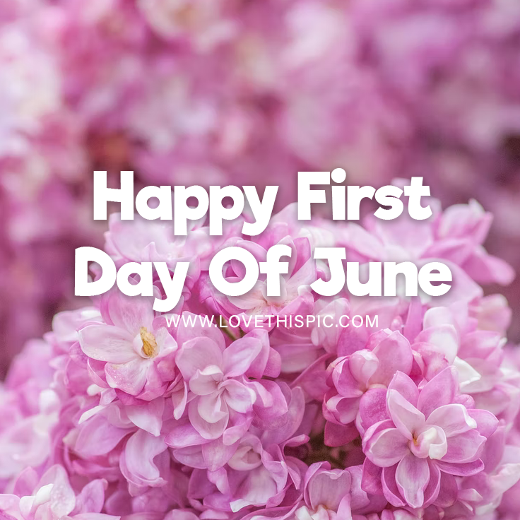 Pink Flowers Happy First Day Of June Pictures, Photos, and Images for