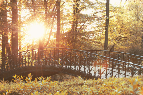 Autumn bridge