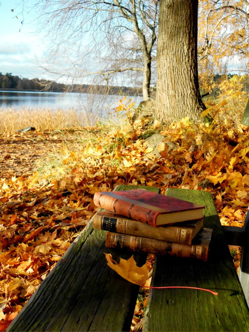 Perfect autumn day Perfect autumn day