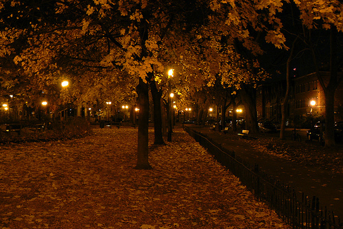 Autumn lights 
