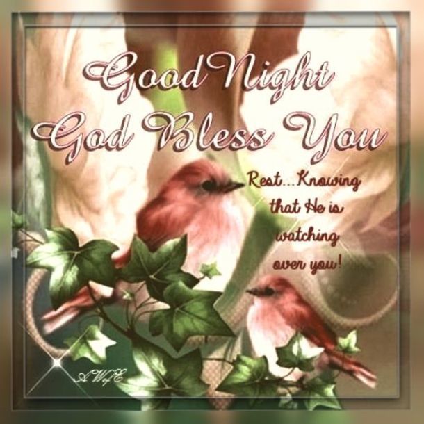 Good Night God Bless You Pictures Photos And Images For Facebook