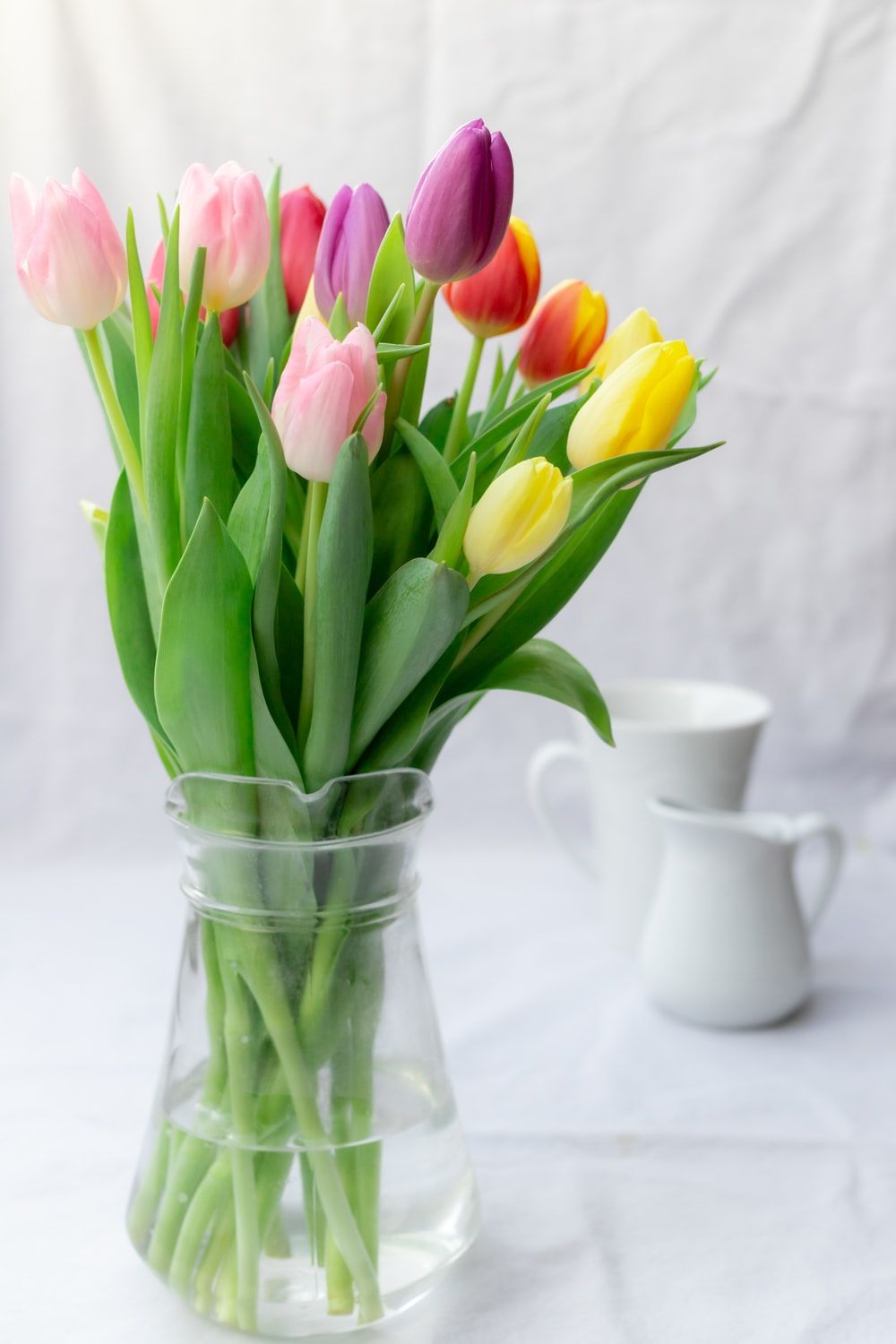 Assorted Tulips In Clear Vase Pictures, Photos, and Images for Facebook